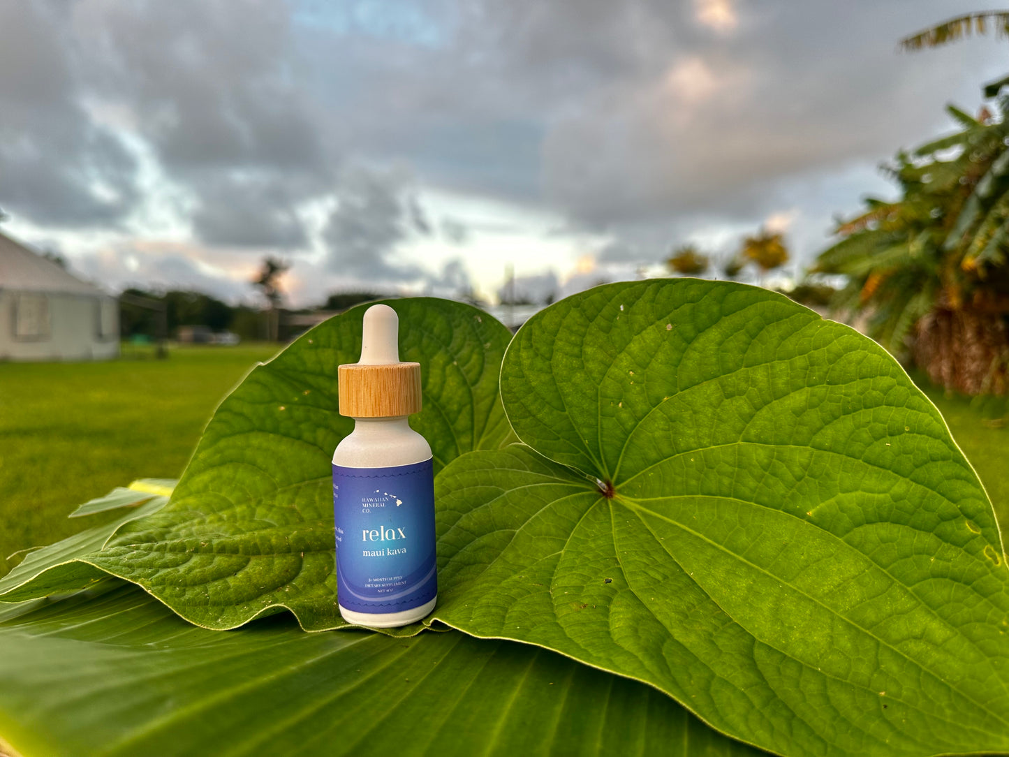 Maui ‘Awa