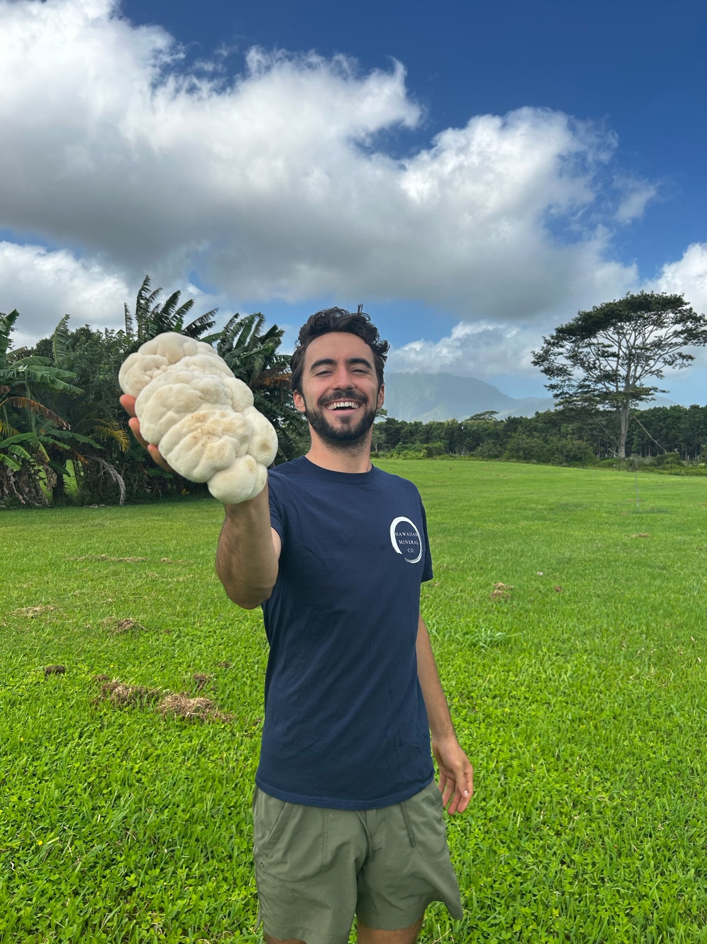 Hawaiian Lion’s Mane