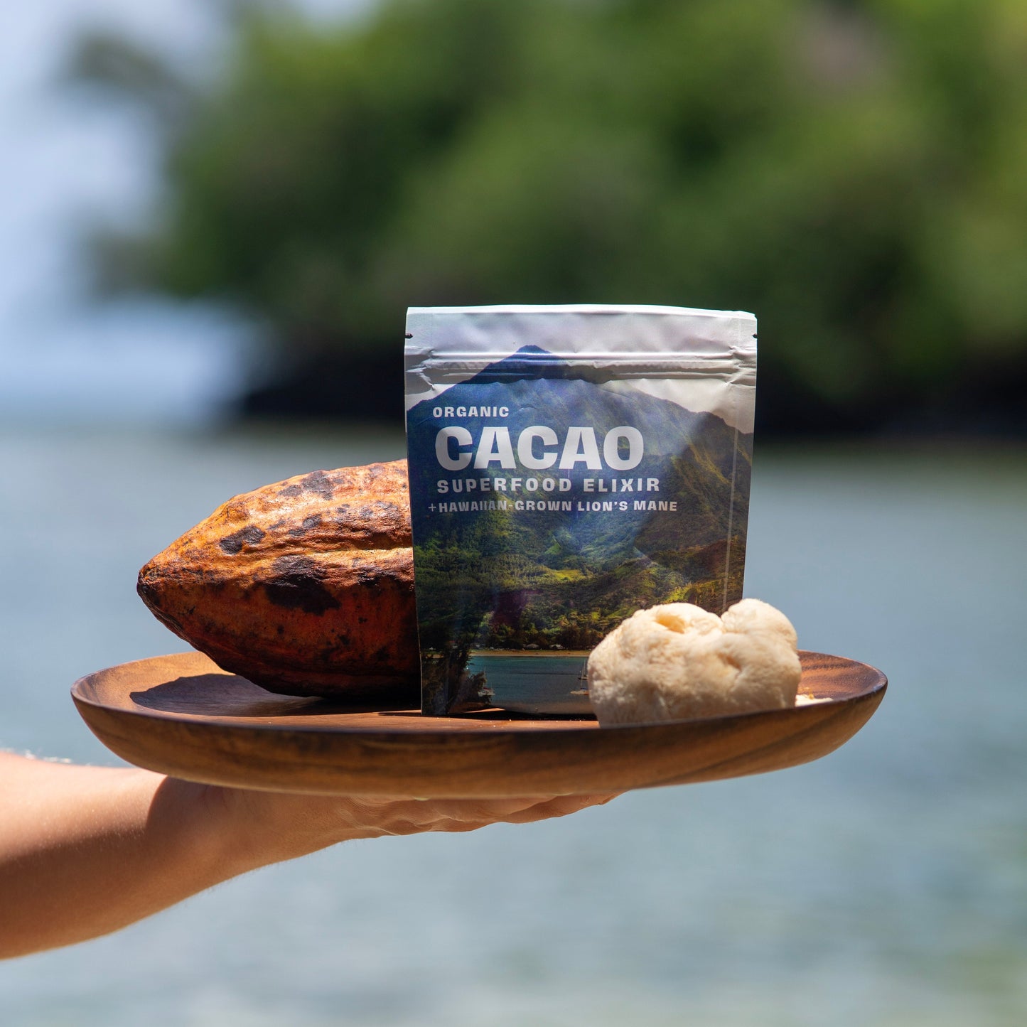 Hawaiian Lion’s Mane Cacao