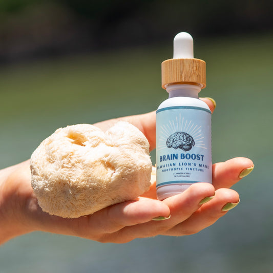 Lion’s Mane Extract