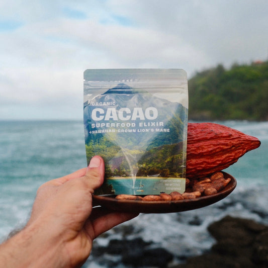 Lion's Mane Cacao (Energy)