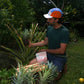 Pineapple Magnesium (Sleep)