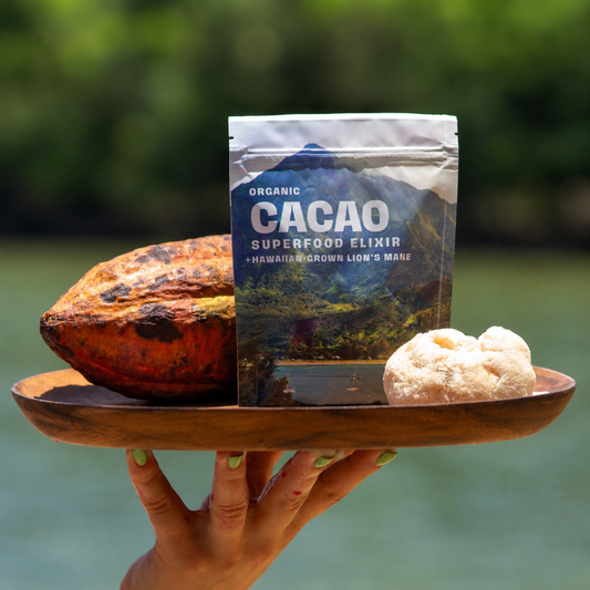 Lion’s Mane Cacao (energy)